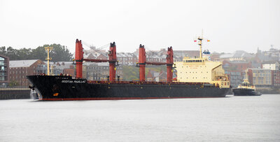 OCCITAN PAUILLAS .jpg