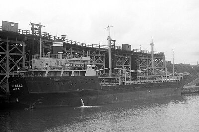 tod head 080975 x3.jpg