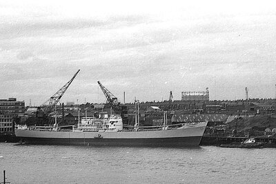 johanna u 080975 x3.jpg