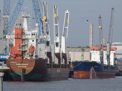 FAGELGRACHT - IMMENSTY 20.10.25c.JPG