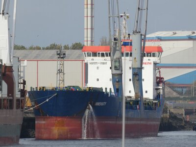 IMMENSITY 201025a.JPG