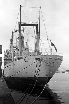 bunga raya 021175.jpg