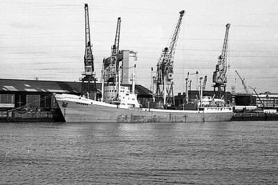 craiova 201175 x2.jpg