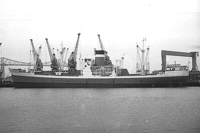 city of auckland 231175 x1.jpg