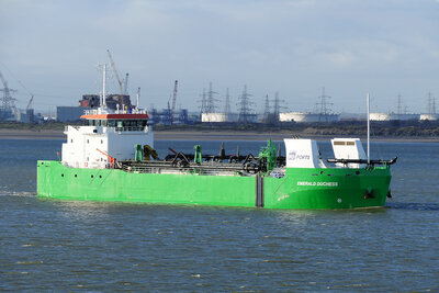 Emerald Duchess12.jpg