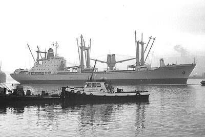 bunga angsana 1012756x1.jpg