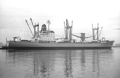 bunga angsana 1012756x2.jpg