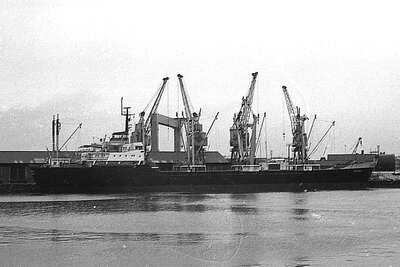 petropolis 311275.jpg