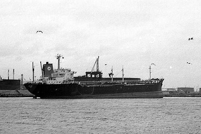 olympic dream 180176 x2.jpg