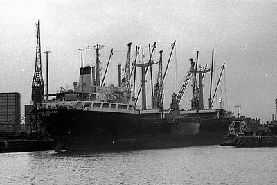 ocean sailor 180176 x2.jpg