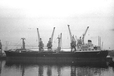 ocean sailor 270176 x1.jpg