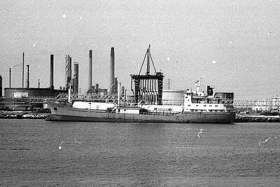 nicole 280176 x1.jpg