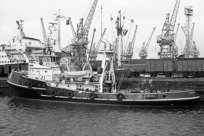 giuseppe panfido 300176.jpg