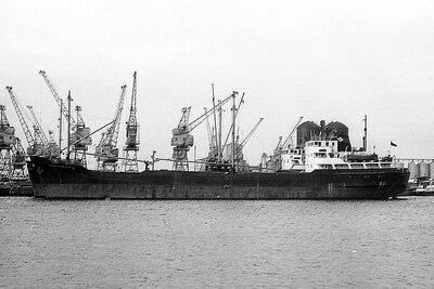 cornishbrook 290276.jpg