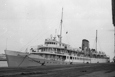 highland queen 220376 x1.jpg