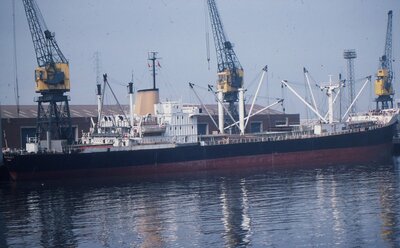 MICHELLE C 220683a.jpg