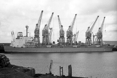 neptune ruby 040476.jpg