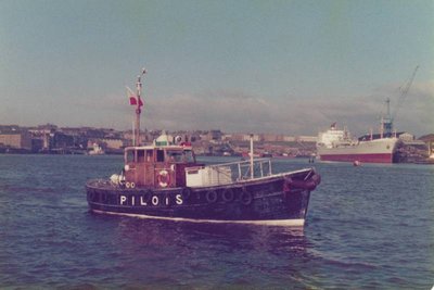 Tertia Steve Gray.jpg