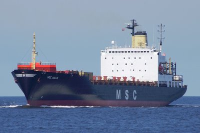 MSC MALIN 100812a.JPG
