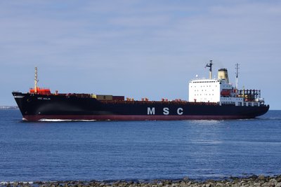 MSC MALIN 100812c.JPG