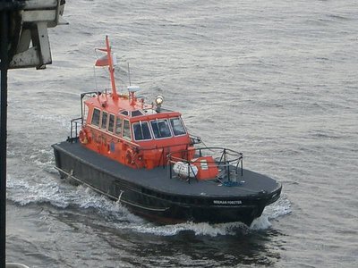 Norman Foster Steve Gray.jpg