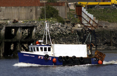 Genesis of Looe (1) (24.05.12).jpg