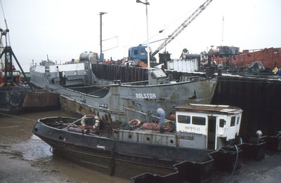 ROLSTON-HIPPO D 180887.jpg