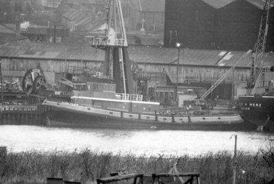 T - FLYING FULMAR   25-11-1973.jpg