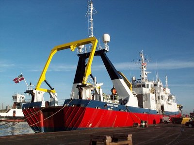 NORTHERN PRINCE(C).jpg