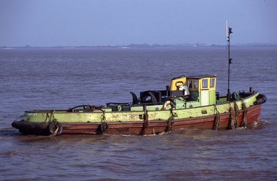 GILLIAN KNIGHT 200589a.jpg