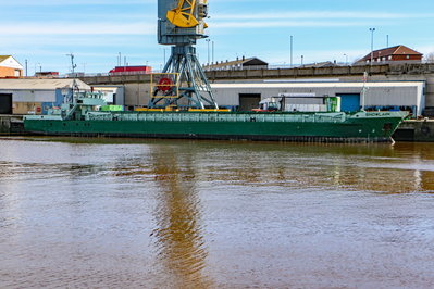 Snowlark, 24 March 2017 (1)_1_1.JPG