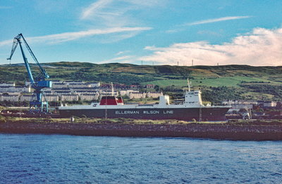 Cavallo, 29 July 1979_1_1.jpg