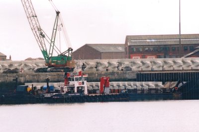 Llanddwyn Island.jpg