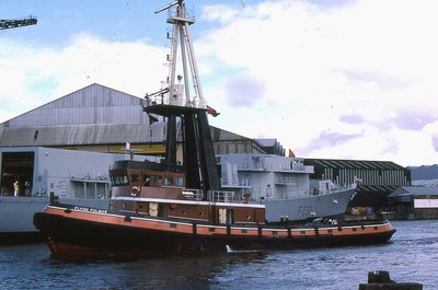 FLYING FULMAR 080489a.jpg