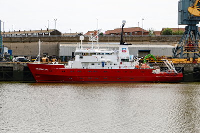 Franklin, 4 July 2019 (2)_1.JPG