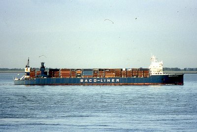 BACO-LINER 2 130695a.jpg