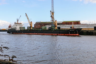 MBC Rose, 15 November 2019 (3)_1.JPG