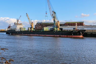 MBC Rose, 15 November 2019 (5)_1.JPG