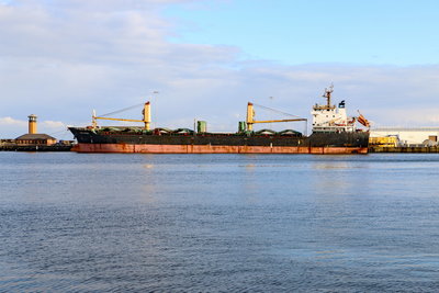 MBC Rose, 22 November 2019 (3)_1.JPG