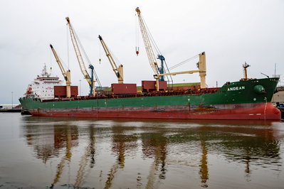 Andean, Sunderland, 17 January 2020 (3)_1.JPG