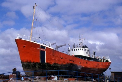 CAM PANTHER 040591a.jpg