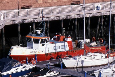 RED WOLF 280797a.jpg