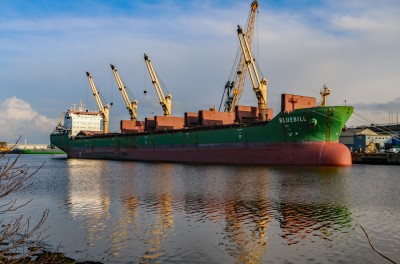 Bluebill, 9263306, 28 December 2020 (4)_1.JPG