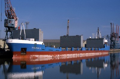 DOLPHIN Z 190998a.jpg