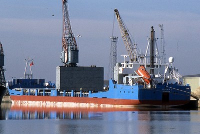 DOLPHIN Z 190998b.jpg