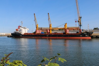 Petrel S, 9363883, 24 August 2021_04_1.JPG