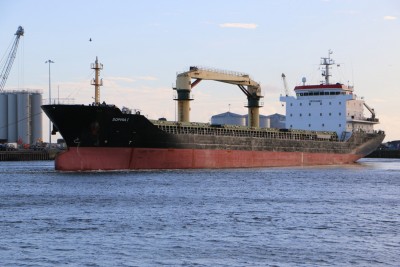 Sophia 1, 9546007, 4 January 2023_04_1.JPG