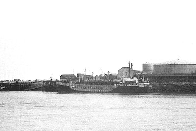 agility 170575 x2.jpg