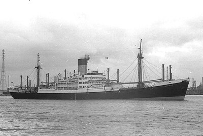 ascanius 051075 x1.jpg