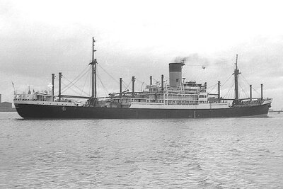 ascanius 051075 x2.jpg